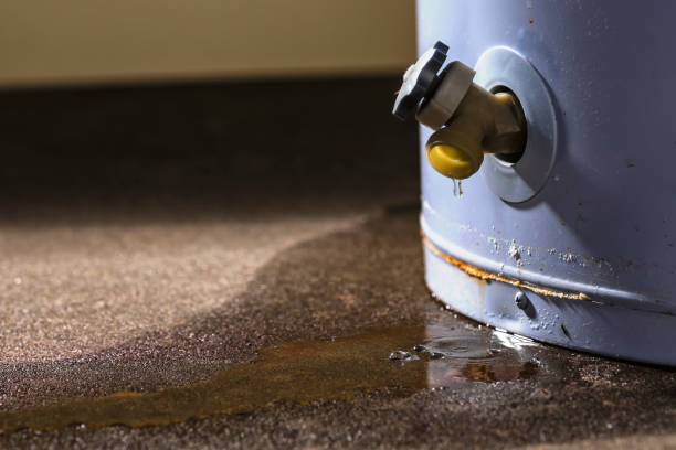 Best Flood restoration services  in Four Corners, TX