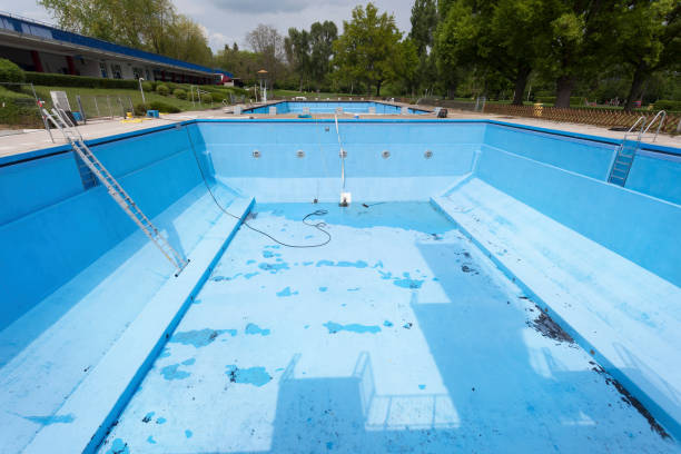 Best Professional water damage repair  in Four Corners, TX