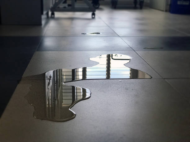Best Local water damage restoration  in Four Corners, TX
