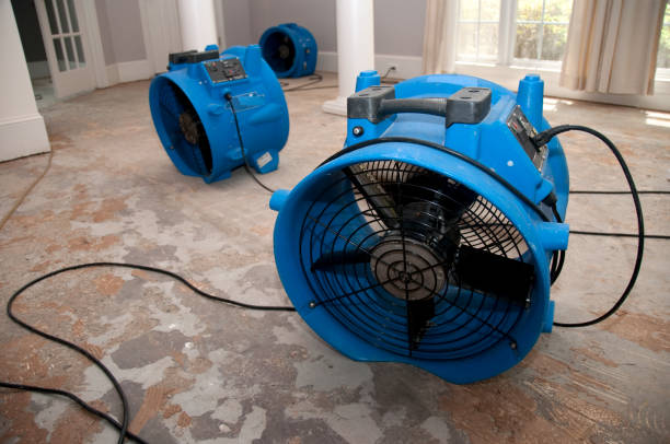 Professional Water damage restoration in Four Corners, TX