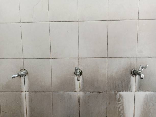 Best Water damage repair service  in Four Corners, TX