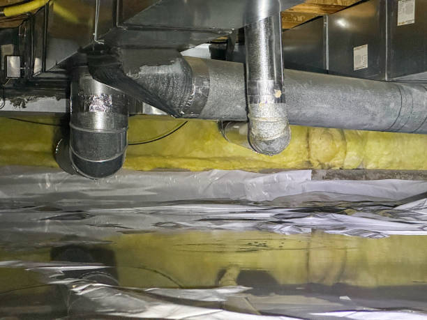 Best Water damage contractors near me  in Four Corners, TX