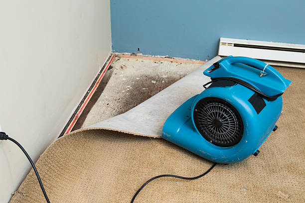 Best Flooded house restoration  in Four Corners, TX